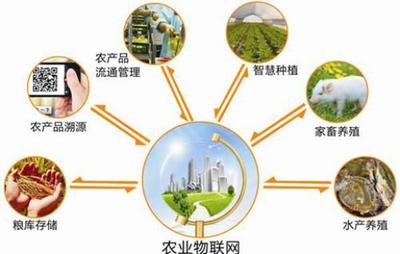 發(fā)展農(nóng)業(yè)農(nóng)村智慧產(chǎn)業(yè)體系，助力鄉(xiāng)村振興的規(guī)劃設(shè)計與管理路徑